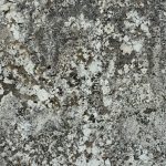 001_27807-1_AWHLASLU02