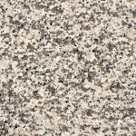 001_29055_BSALASGR02