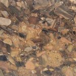 001_29544_QKRLASLU02